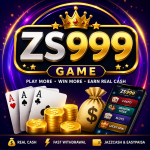 ZS999 Game